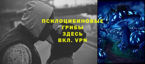 первитин Каменногорск