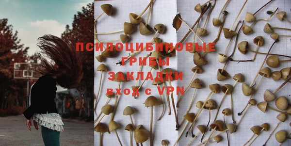 первитин Каменногорск