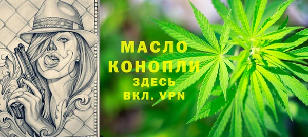 скорость Каменка