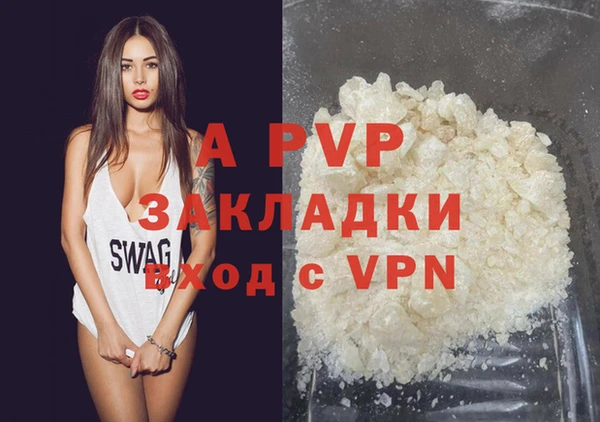 скорость Каменка