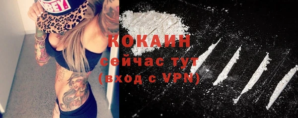 скорость Каменка