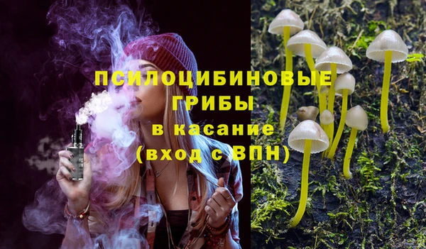 первитин Каменногорск