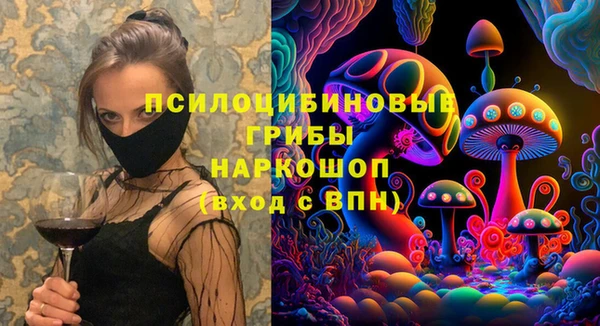 скорость Каменка