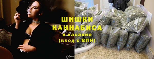скорость Каменка